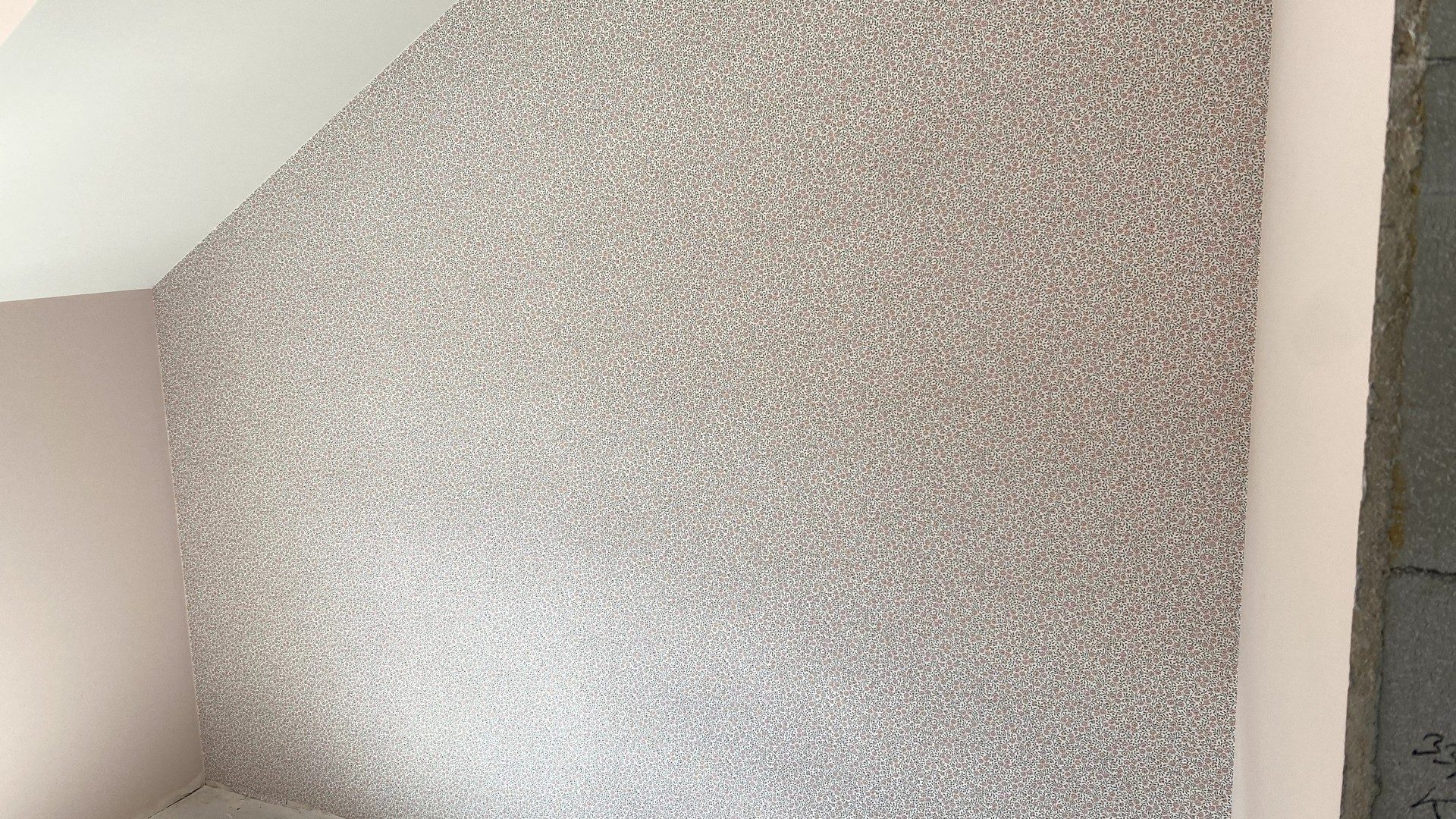 IMG_7804